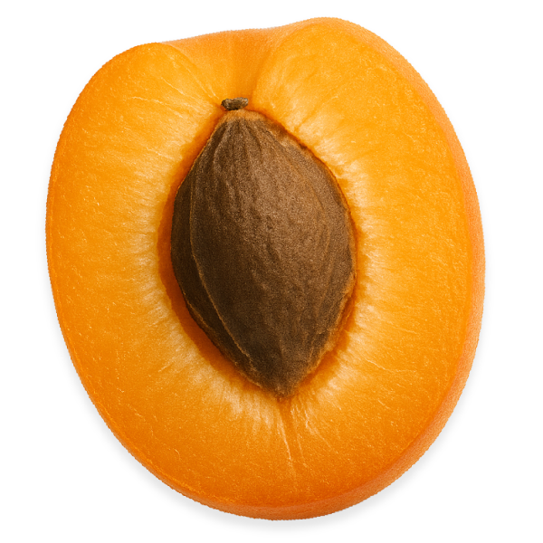 Apricot Oil