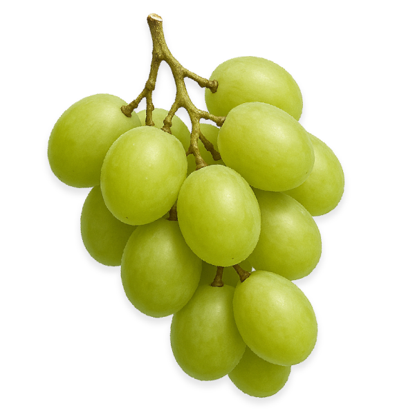 Grape Seed Oil